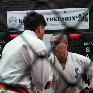 Kings Of Kyokushin