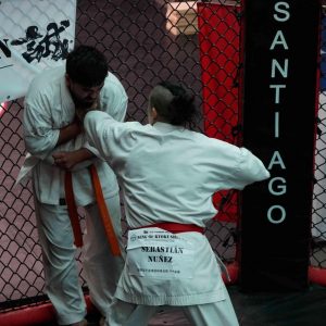 Kings Of Kyokushin