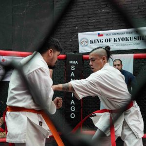 Kings Of Kyokushin