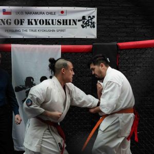 Kings Of Kyokushin